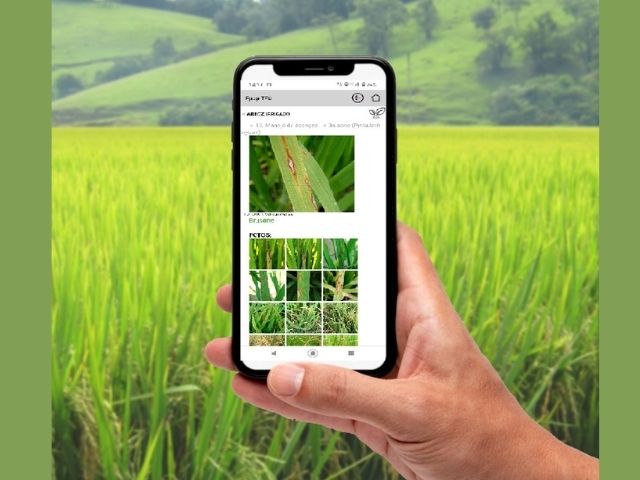 7 apps de celular para experimentar a vida na fazenda - AgroSaber