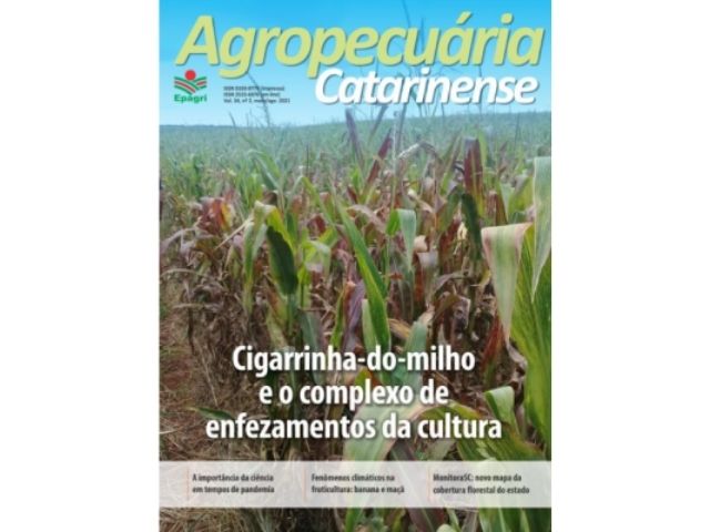 Leia mais sobre o artigo Revista Agropecuária Catarinense atinge mais de 10 mil downloads em um mês