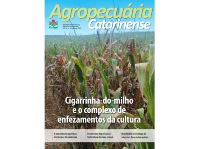 Read more about the article Revista Agropecuária Catarinense atinge mais de 10 mil downloads em um mês