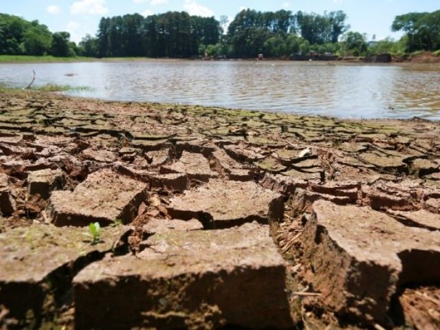 Read more about the article Governo do Estado acompanha os impactos da estiagem no meio rural catarinense