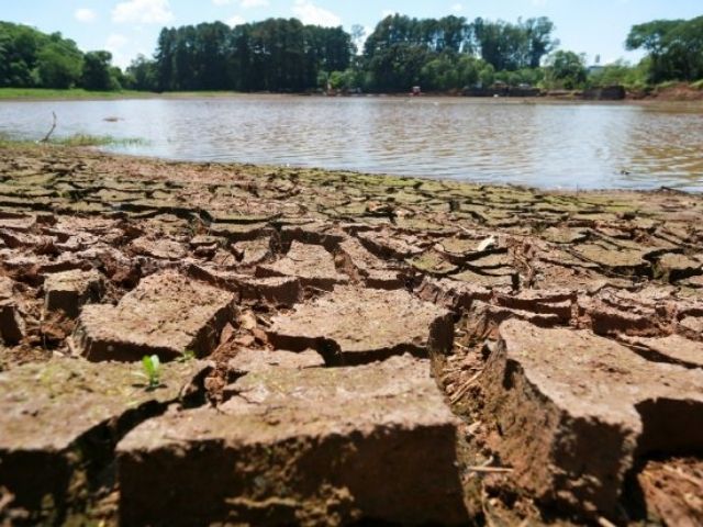 Leia mais sobre o artigo Governo do Estado acompanha os impactos da estiagem no meio rural catarinense