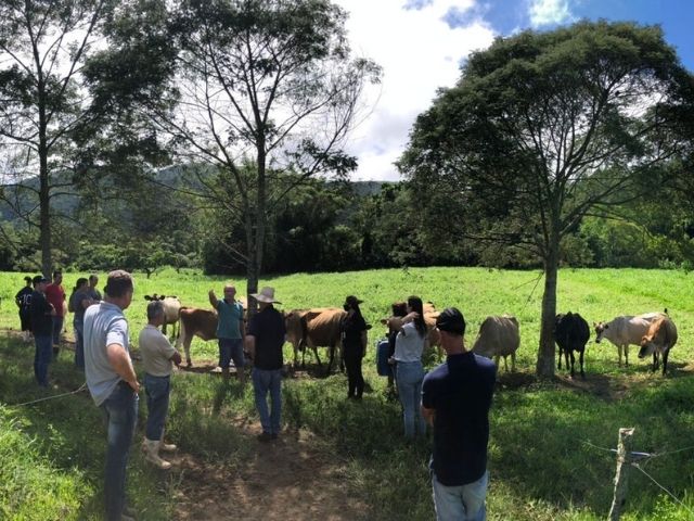 Read more about the article Dia de Campo em Anitápolis promove produção de leite à base de pasto