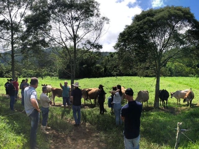 Leia mais sobre o artigo Dia de Campo em Anitápolis promove produção de leite à base de pasto