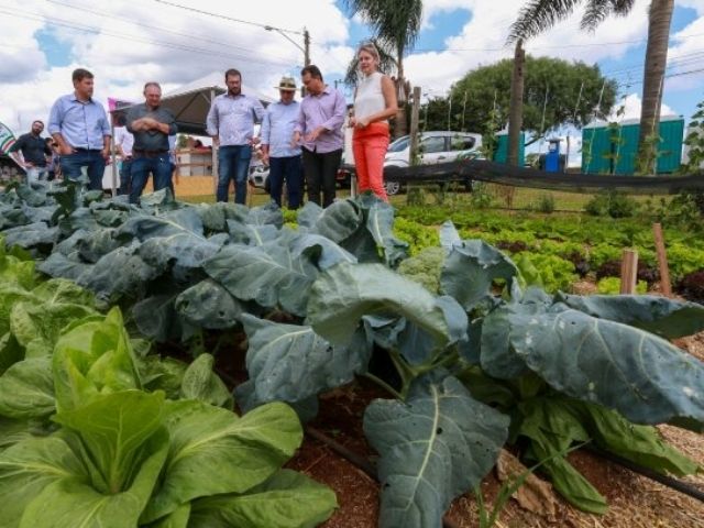 Leia mais sobre o artigo Governador participa do 26º Show Tecnológico Copercampos e assina convênio para implantação da Central de Reprodução Bovina