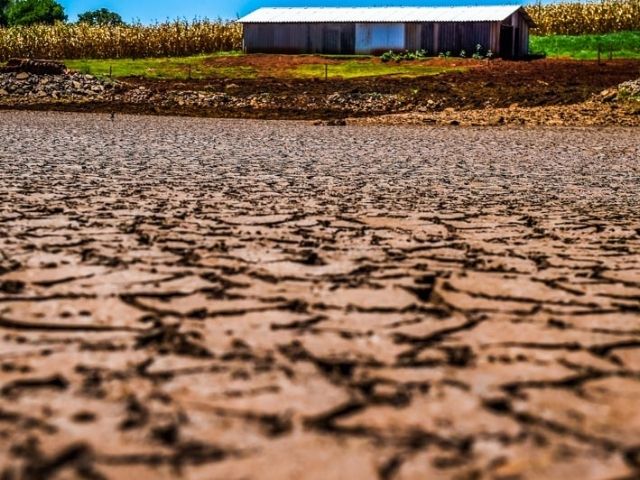 Leia mais sobre o artigo Estiagem em SC: prejuízo na agricultura é superior a R$ 3,7 bilhões