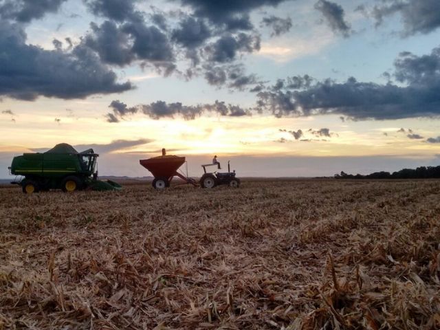 Leia mais sobre o artigo Estiagem em SC: agricultor de Abelardo Luz protege solo para reservar água