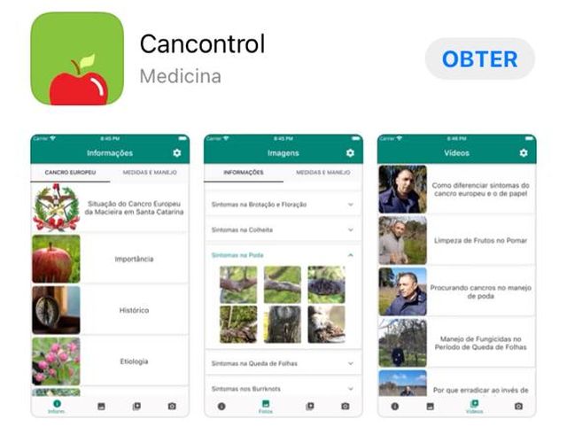 Leia mais sobre o artigo Aplicativo para monitoramento do cancro europeu está disponível para todas as versões de celulares
