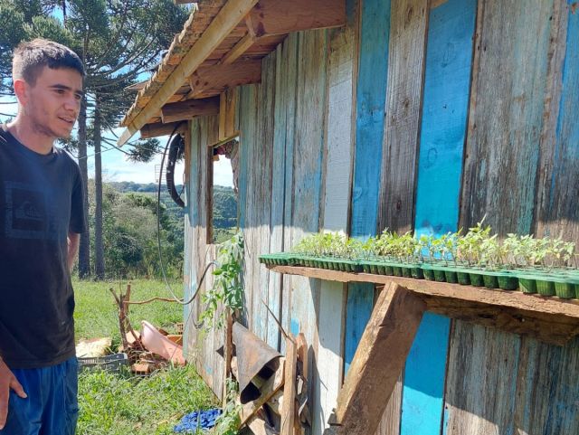 Leia mais sobre o artigo Agricultor de Capão Alto cultiva hortaliças com apoio do Programa de Fomento às Atividades Produtivas