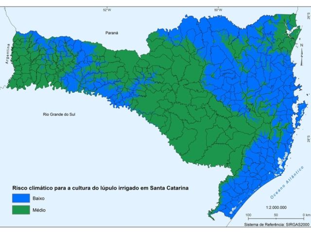 Leia mais sobre o artigo Estudo da Epagri aponta que lúpulo tem potencial para ser cultivado em SC