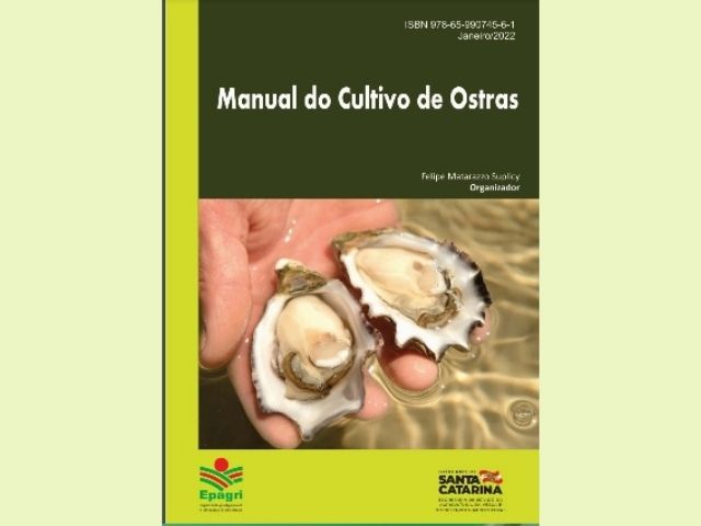 Leia mais sobre o artigo Epagri publica manual sobre cultivo de ostras