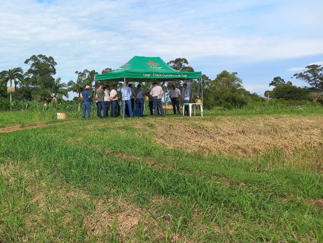 Leia mais sobre o artigo Dia de campo mostra os trabalhos desenvolvidos pelo Centro de Treinamento de Araranguá