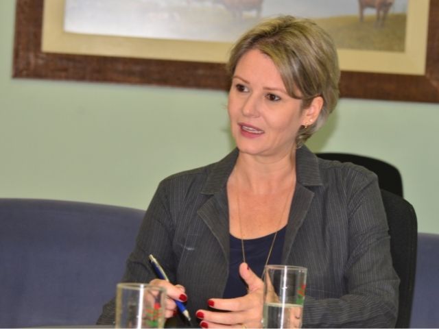 Leia mais sobre o artigo Diretoria da Epagri apresenta balanço da gestão durante presidência de Edilene Steinwandter