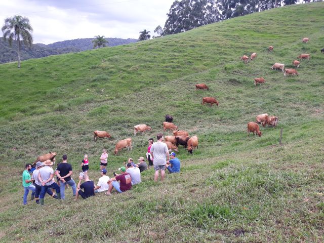 Read more about the article Jovens pecuaristas do Sul de SC conhecem propriedade que atua com produção sazonal de leite