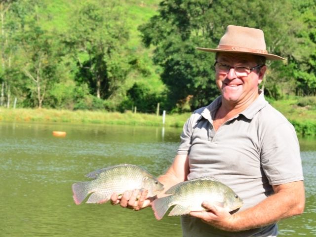 Agência ALESC  Cultivo de peixes pode dar lucro de R$ 1 por kg produzido