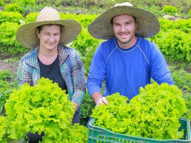 Leia mais sobre o artigo Epagri apresenta nesta terça, em Florianópolis, agricultores que encontraram alternativas ao cultivo de tabaco