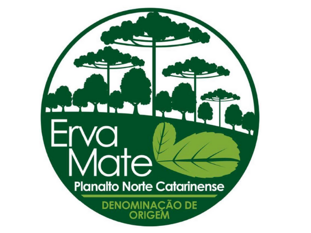 Leia mais sobre o artigo Erva-mate do Planalto Norte Catarinense é a sétima Indicação Geográfica de SC