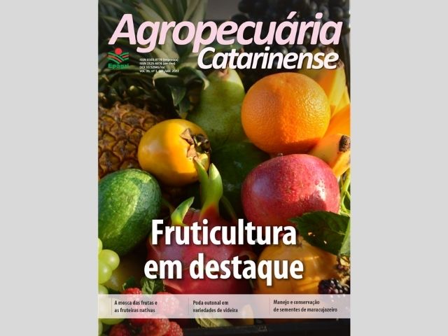 Read more about the article Fruticultura é destaque na nova edição da Revista Agropecuária Catarinense