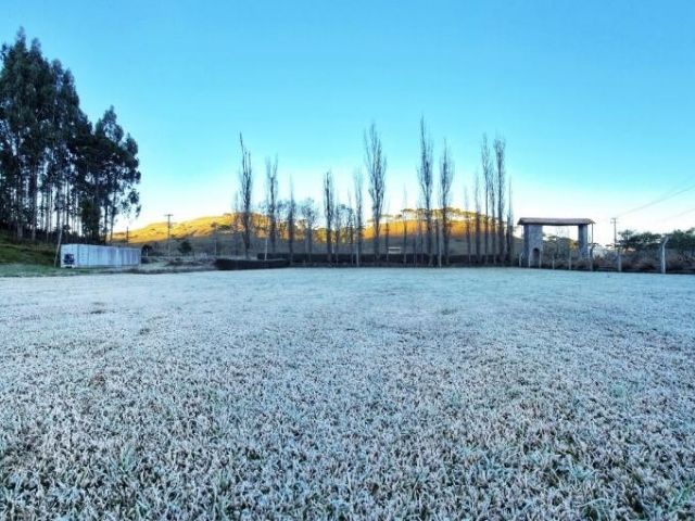 Leia mais sobre o artigo Massa de ar frio pode trazer geada e neve para SC: confira as recomendações da Epagri para minimizar prejuízos na agropecuária