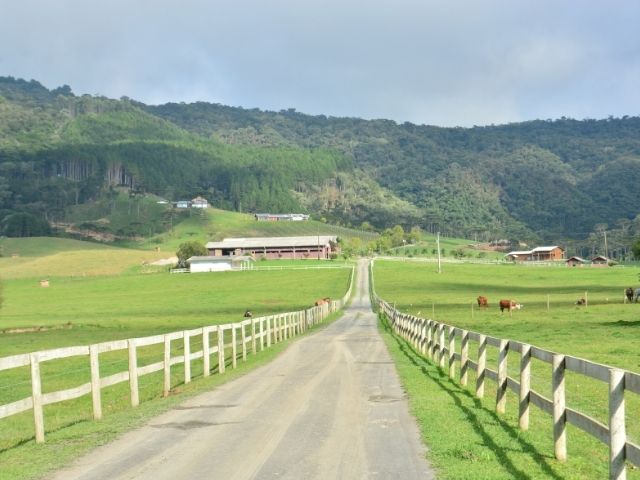 Leia mais sobre o artigo Publicação da Epagri aborda risco, incerteza e lucro na agricultura familiar