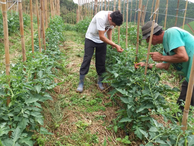 Leia mais sobre o artigo FGV certifica tecnologia da Epagri como ferramenta para redução de riscos climáticos na agricultura familiar