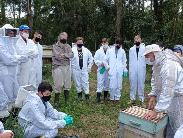 Leia mais sobre o artigo Apicultura catarinense ganha força no comando de jovens  rurais