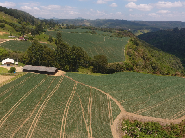 Leia mais sobre o artigo Artigo: Especificidades da agricultura*