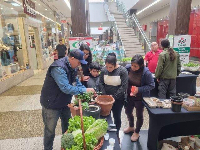 Leia mais sobre o artigo Público urbano conhece trabalhos ambientais da Epagri em Shopping de Palhoça