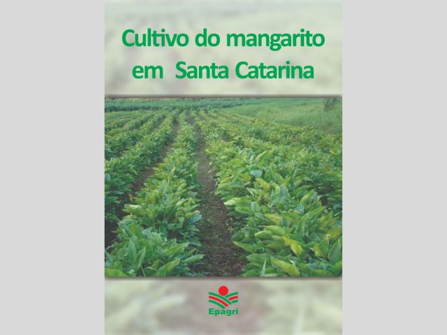 Leia mais sobre o artigo Cartilha da Epagri dá recomendações para o cultivo de mangarito