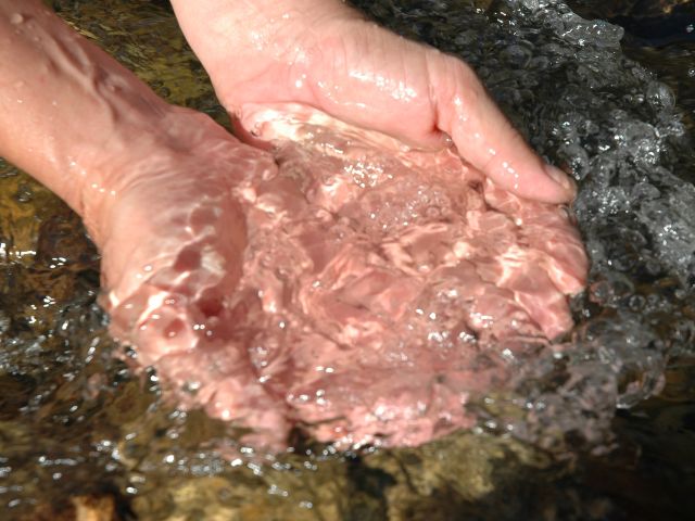 Leia mais sobre o artigo Epagri e Casan se unem para “cultivar água” na bacia do rio Piçarras