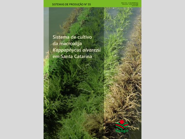 Leia mais sobre o artigo Publicação da Epagri ensina a cultivar macroalga no litoral catarinense