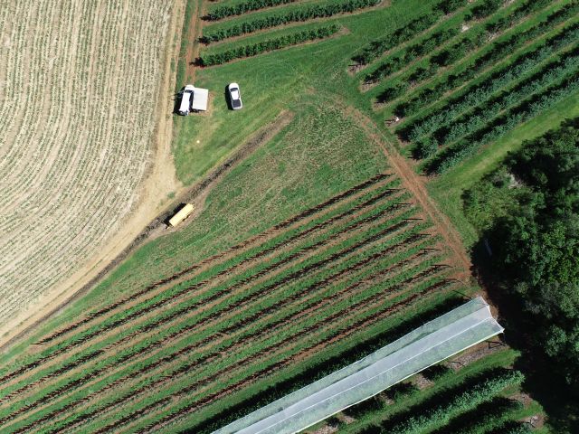 Leia mais sobre o artigo Pesquisa da Epagri busca identificar as causas das perdas na lavoura por meio da interpretação de imagens aéreas