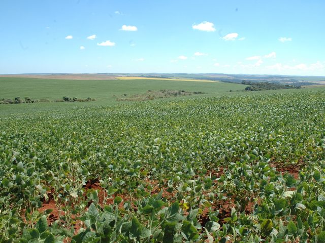 Leia mais sobre o artigo Epagri usa imagens de satélite para mapear área de soja em SC