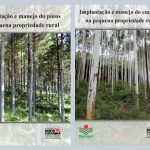 Publicações da Epagri orientam sobre implantação de pínus e eucalipto em pequenas propriedades
