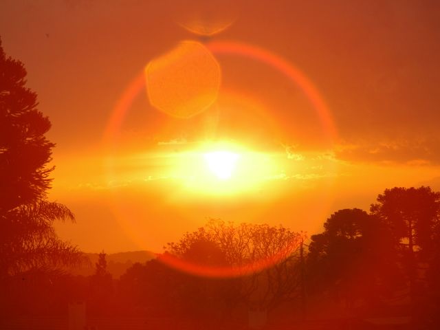 Leia mais sobre o artigo A complexa relação entre agricultura e clima