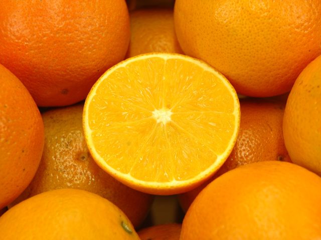 Leia mais sobre o artigo Epagri seleciona viveiristas interessados em comprar borbulhas certificadas de citros