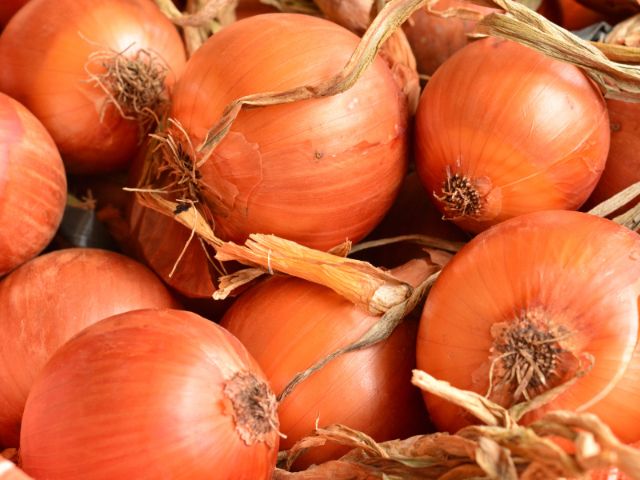 Leia mais sobre o artigo Boletim Agropecuário de fevereiro: SC colhe a maior safra de cebola dos últimos anos