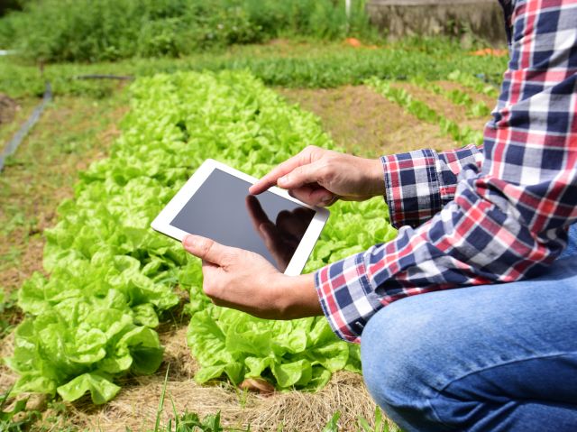 Leia mais sobre o artigo Ferramenta on-line permite ao agricultor conhecer o custo de produção atual e planejar a próxima safra