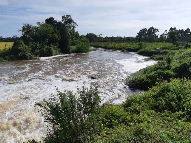 Leia mais sobre o artigo Epagri e Casan trabalham para viabilizar pagamento de serviços ambientais na bacia do rio Piçarras