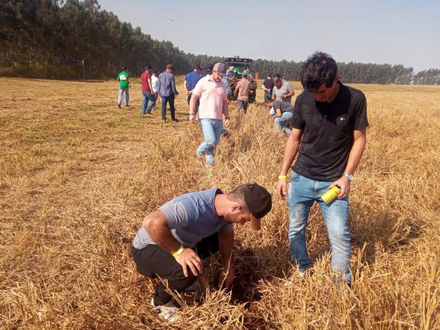 Leia mais sobre o artigo Centro de Treinamento da Epagri em Tubarão abre nos próximos dias cursos para mulheres e jovens do campo