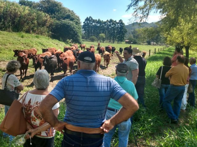 Leia mais sobre o artigo Epagri aprimora conhecimento de pecuaristas de Cocal do Sul na produção de gado de corte
