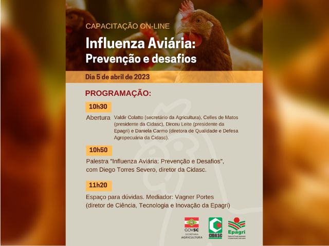Leia mais sobre o artigo Capacitação on-line nesta quarta, 5, informa sobre prevenção e desafios da influenza aviária