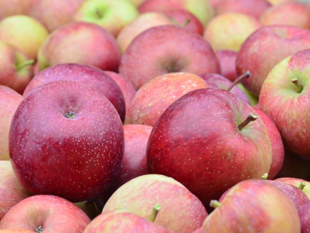 Leia mais sobre o artigo Mercado da maçã deve ter redução das importações com comercialização da safra nacional