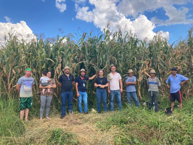 Leia mais sobre o artigo Agricultores de Curitibanos se preparam para o inverno com produção de silagem