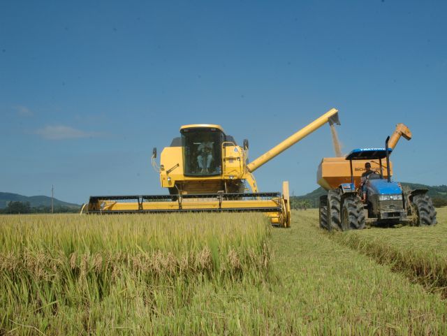 Leia mais sobre o artigo Santa Catarina registra safra recorde de arroz