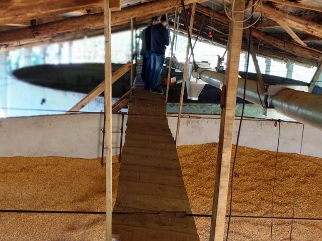 Leia mais sobre o artigo Epagri e IFSC estabelecem parceria para desenvolver aplicativo que vai monitorar secagem e armazenamento de grãos