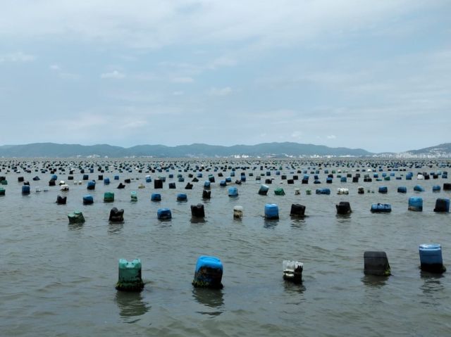 Leia mais sobre o artigo Epagri promove reunião para tratar da ocupação de lotes marinhos em São José, no dia 11