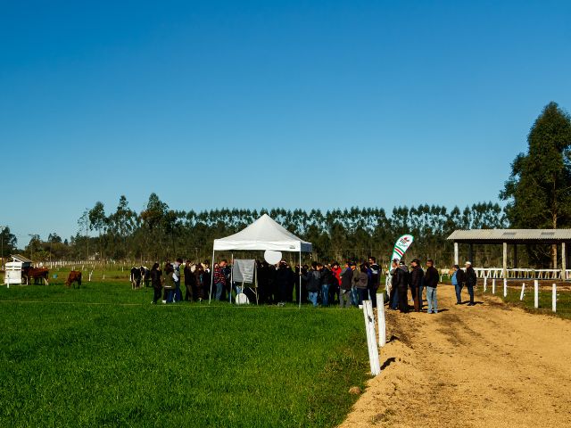 Leia mais sobre o artigo Epagri promove Dia de Campo sobre pecuária leiteira em Santa Rosa do Sul, nesta quinta, 3