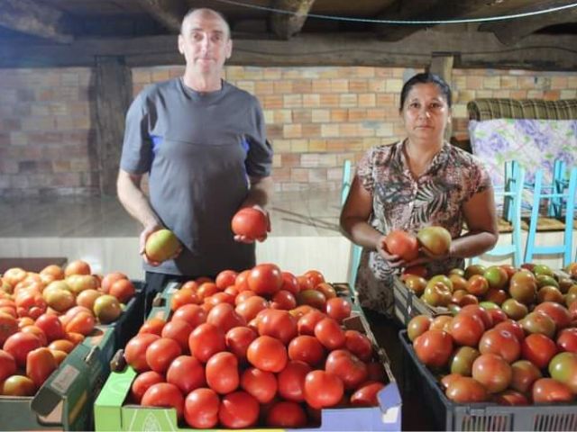 Leia mais sobre o artigo Com orientação da Epagri, família de Santiago do Sul troca produção de fumo por tomates orgânicos