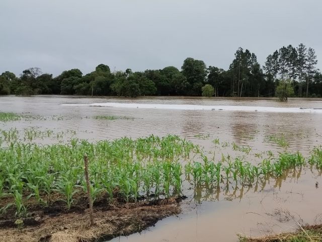 Leia mais sobre o artigo Chuvas de outubro em SC: perdas na agricultura ultrapassam R$1,6 bilhão