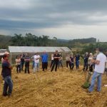 Agricultores de Curitibanos conhecem Sistema de Plantio Direto de Hortaliças (SPDH)